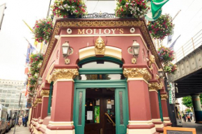 Molloys Apartments